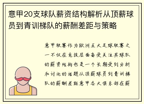 意甲20支球队薪资结构解析从顶薪球员到青训梯队的薪酬差距与策略